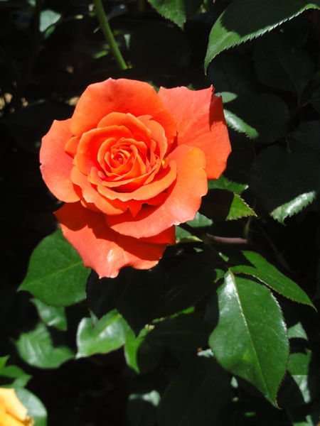 20140518_1