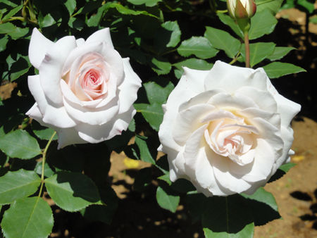 20140518_2