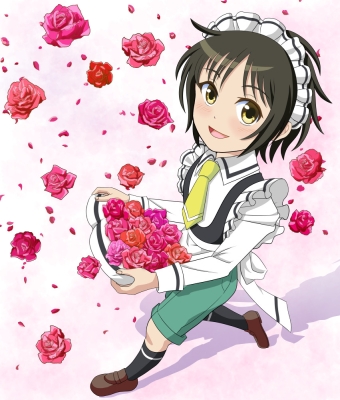 薔薇とメイド君