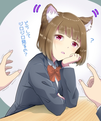 日常の非日常🐈